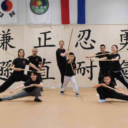 November 1 - The Art of Wushu (Modern Kung Fu)