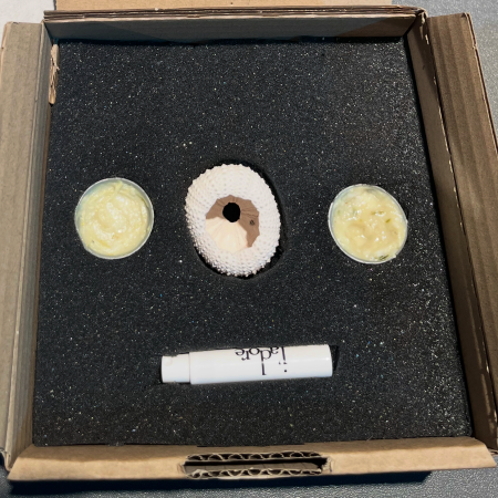 March 14 - Make Your Own Sensory Kit with Kunraad